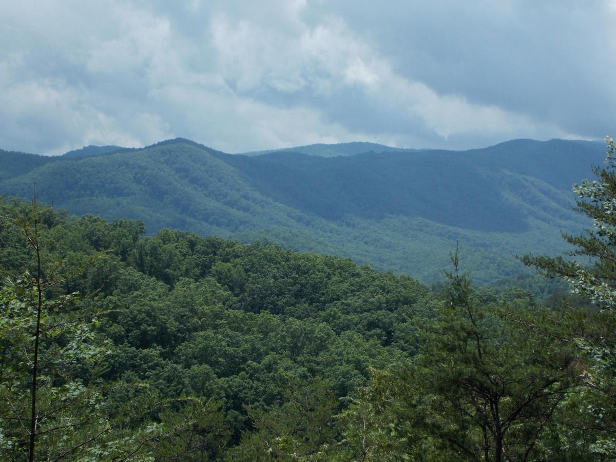 Hillbilly Hilton Chalet Villa Pigeon Forge Esterno foto